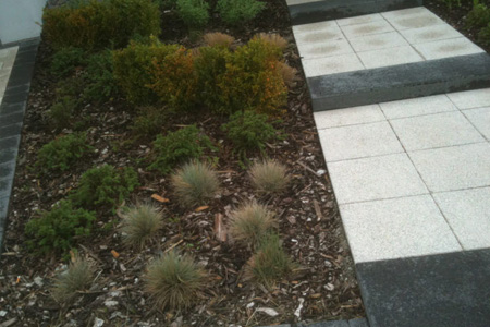 portfolio img 19